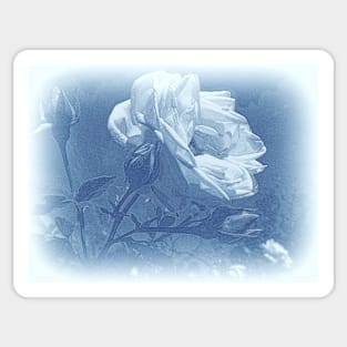 Rose in Blue Sticker